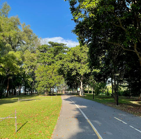 Skirollertour in Singapur