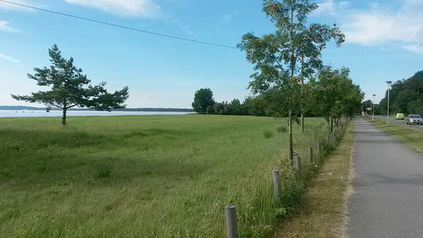 Skirollerstrecke von Binz nach Mukran