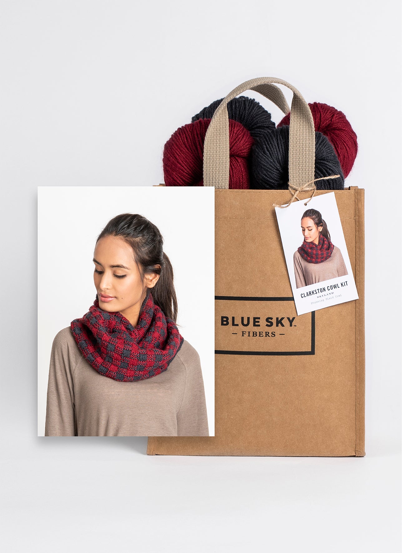 Blue Sky Fibers 21 Color Scarf Kit – Wool and Company