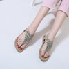 Women Summer Beach Shoes Woman Flip Flop Female Sandals