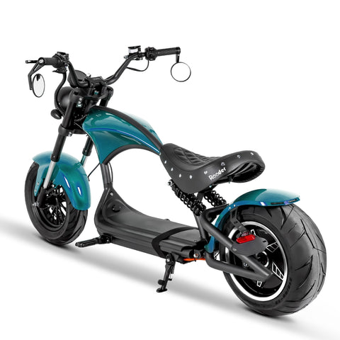 citycoco electric scooter