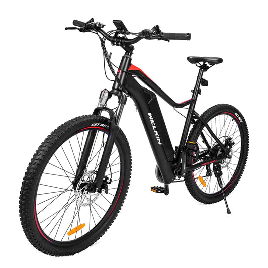 Welkin electric bicycle WKES001 EU stock for sale - Citycoco Scooters Bikes  Factory