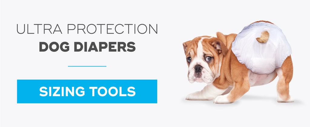 Paw Inspired Ultra Protection Dog Diapers Sizing Tools Banner