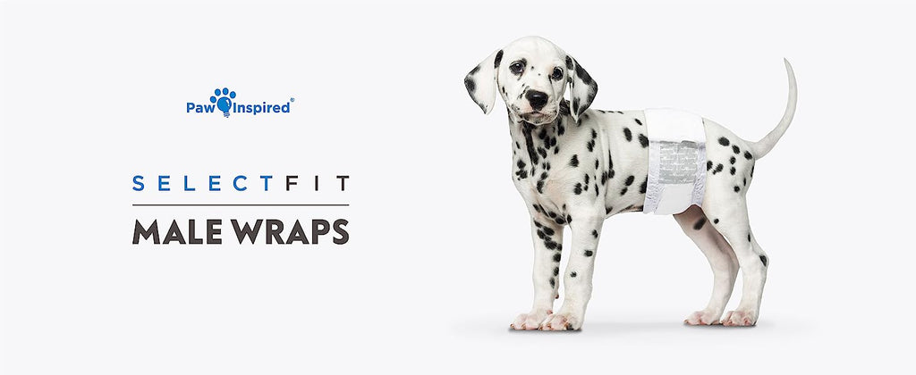 Select Fit Male Wraps from Paw Inspired