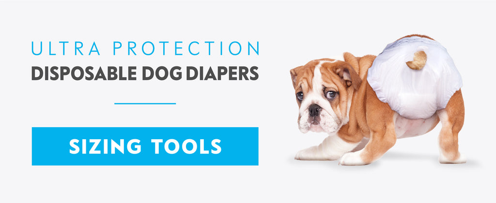 Paw Inspired Disposable Dog Diapers Sizing Tools Banner
