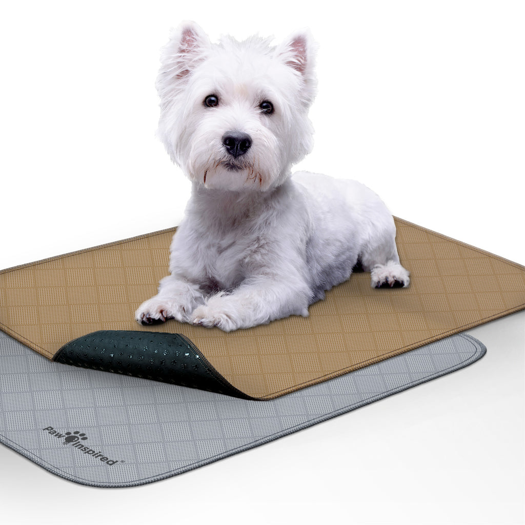 Washable, Waterproof Pet Mats: Keep Your Dog or Cat Comfy and Dry with  Avocado Graphic Floor Mats!