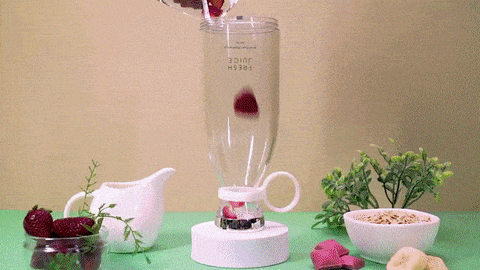Fresh Juice Portable Blender – Beautique