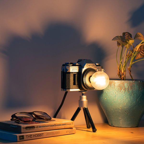 Cute Camera Co. Desk Lamp