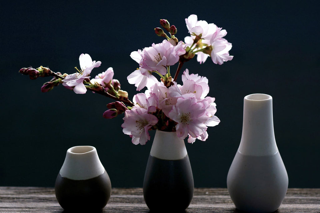 Cherry-Blossoms and vases