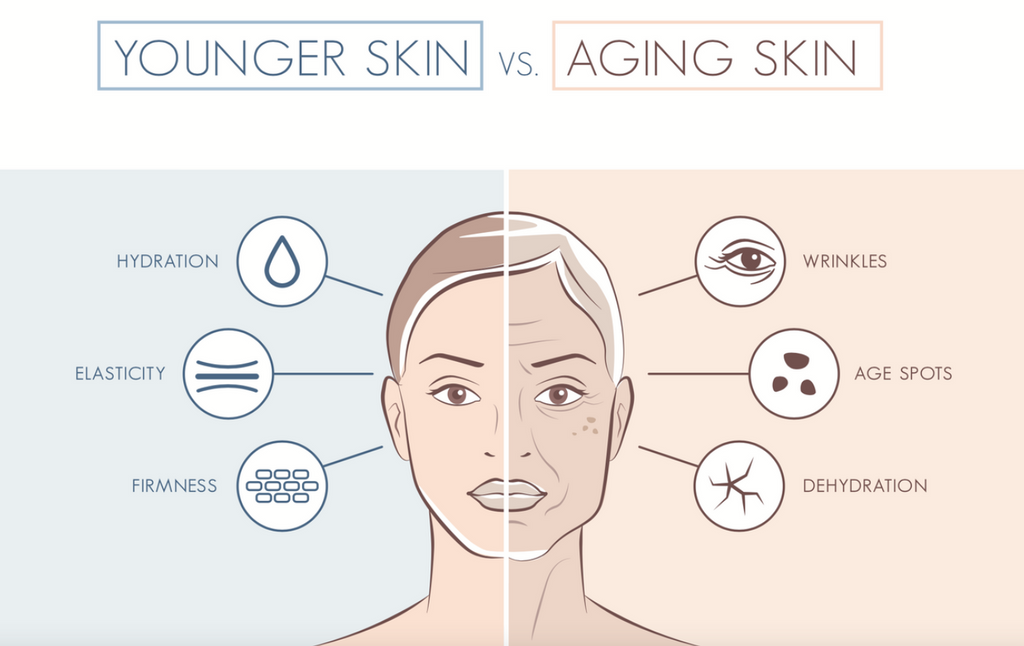 ¿Por qué envejece la piel? | Skin Molecule X