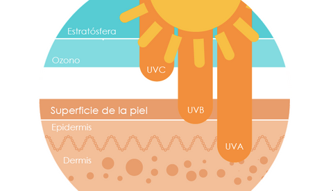 alt="rayos-solares-en-la-piel"