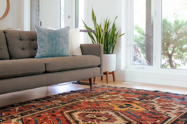 Organized living room with a sofa and clean carpet