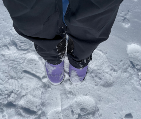 Lavender Bobbis in the snow