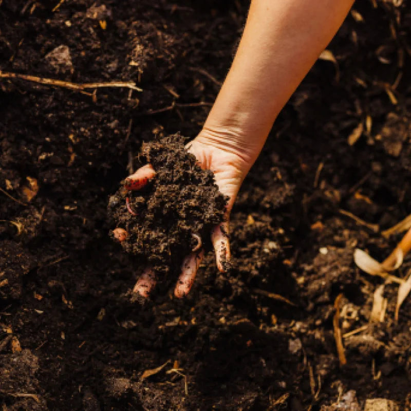 soil from the garden