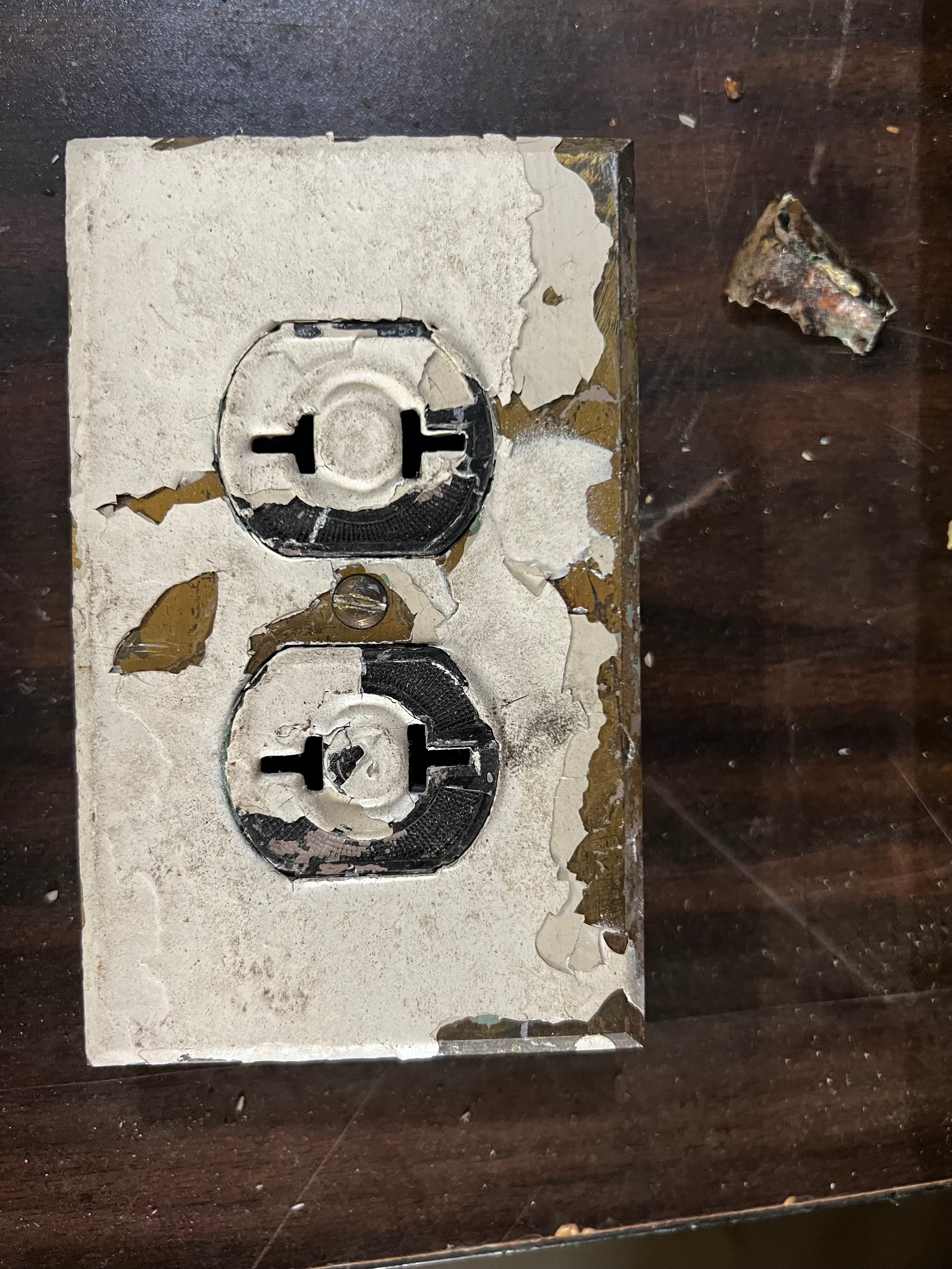 2 Prong Plug with Plate