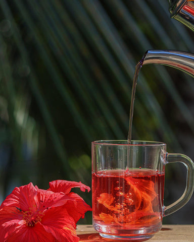 pouring hibisucs tea in a glass cup with a hibiscus flower next to it