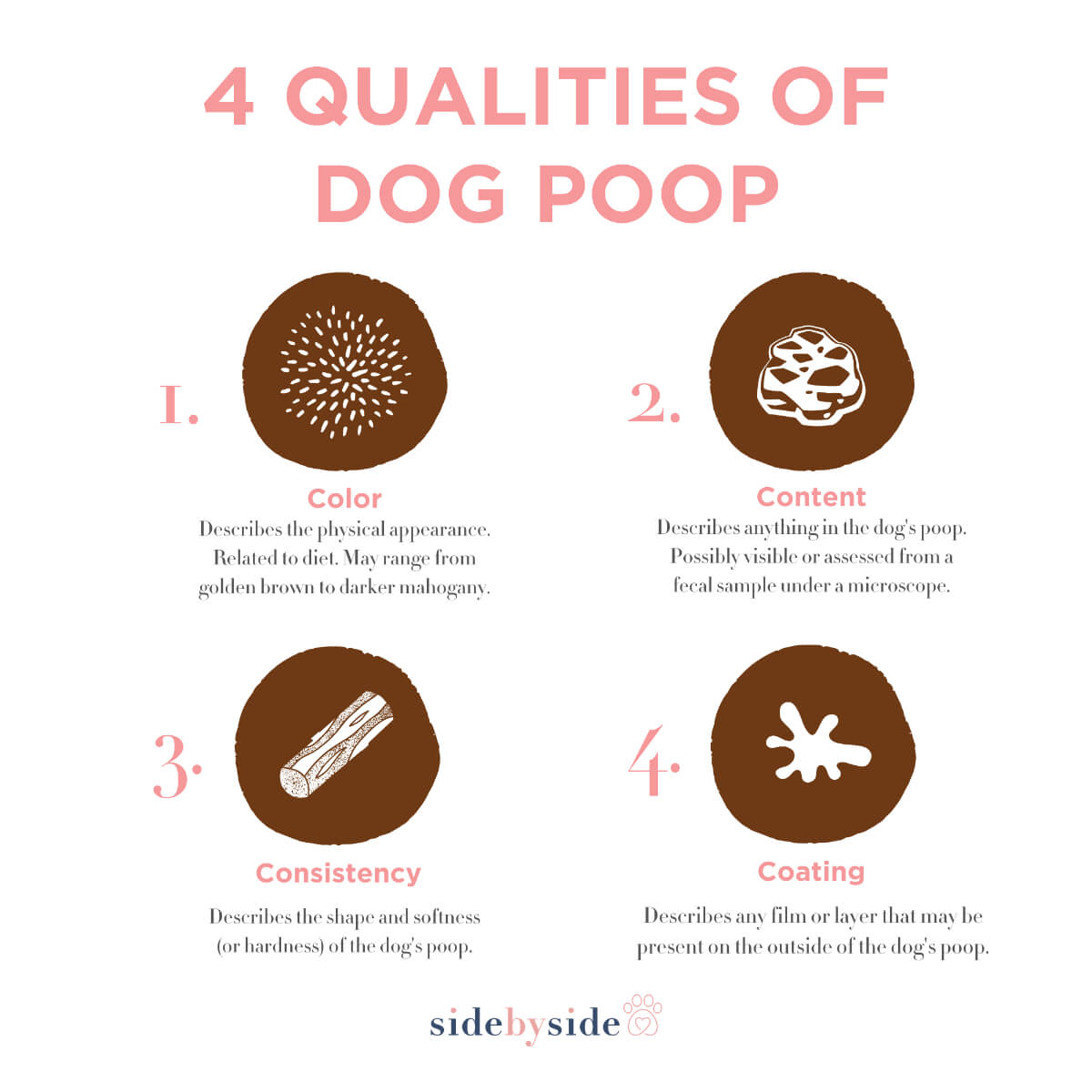 Is your dog's poop healthy-1