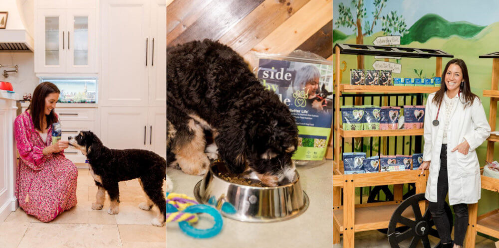 What To Look For In Your Dog's Food2