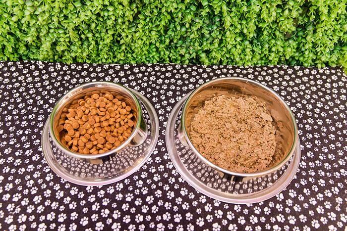 What to look for in your pet food - 3