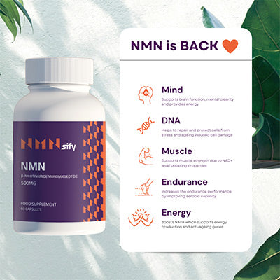 nmn-to-lower-blood-pressure-nmn-for-bloodpressure-nmns-supplement-uk