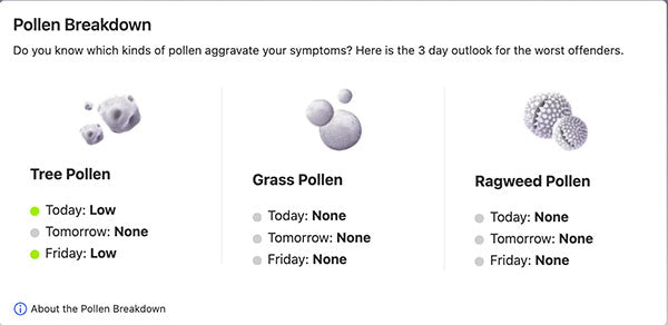pollen-count-pollen-levels-pollen-report-today-London