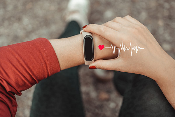 Best-Budget-Heart-Rate-Monitor