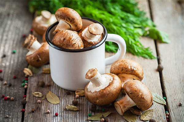 mushroom-Coffee-Benefits-for-Skin-and-Longevity-mushrooms-in-cup