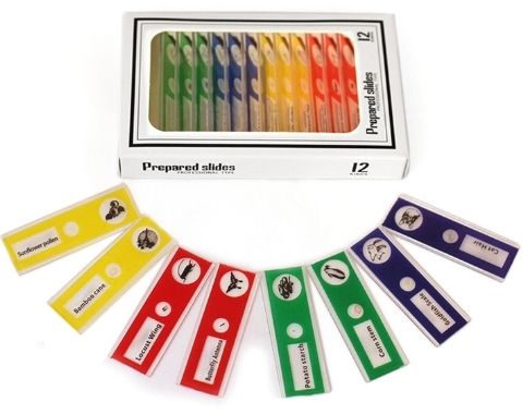 Pocket Microscope prepared slides