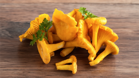 Chanterelle Mushrooms for Pizza Toppings