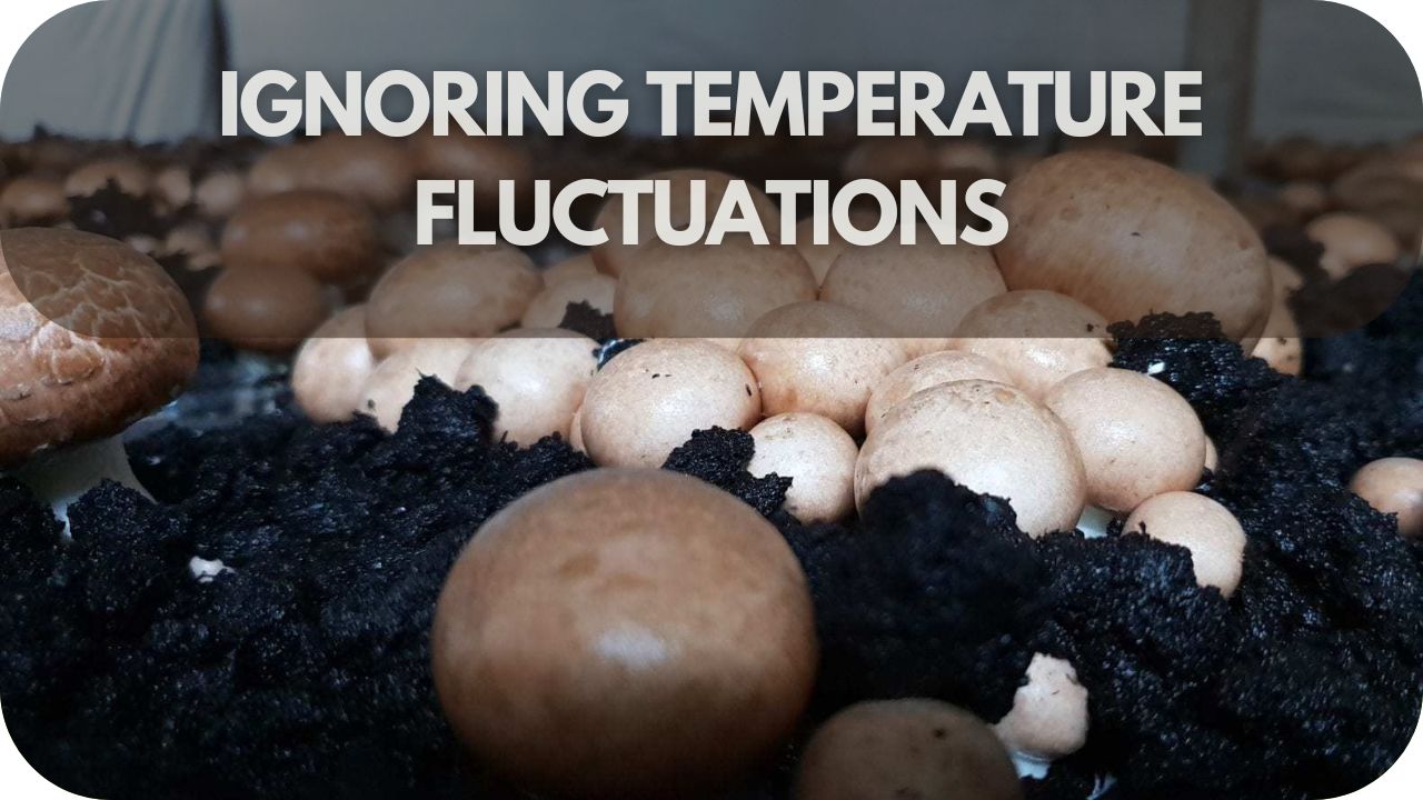 Ignoring Temperature Fluctuations