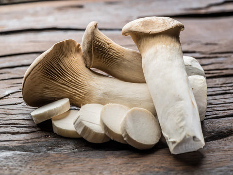 King Trumpet Mushrooms for Chronic Pain