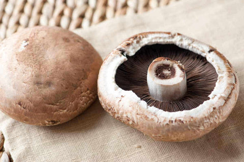 Portobello Mushrooms - A Versatile Nutrient Powerhouse