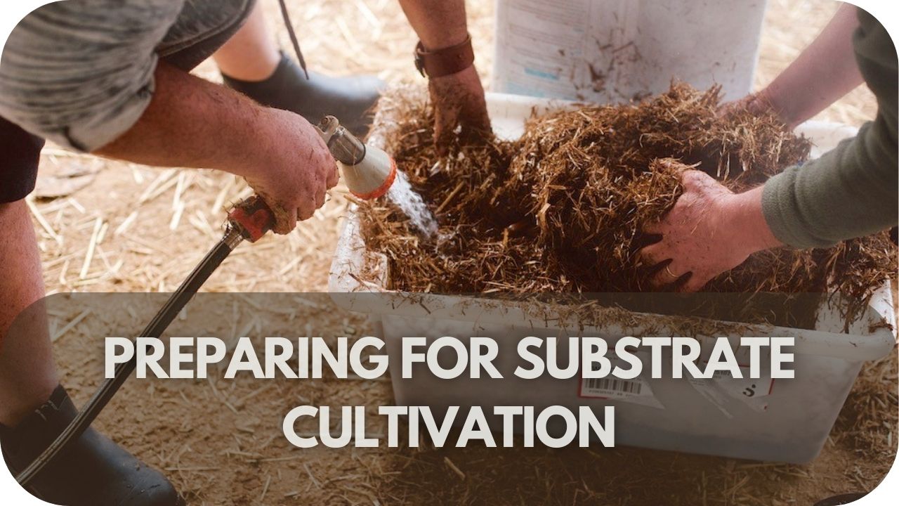 Preparing for Substrate Cultivation