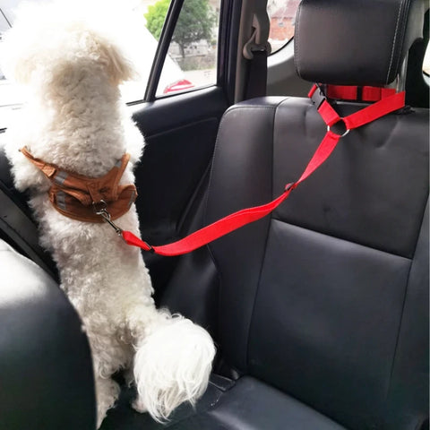 Dog Seat Belt – Friends Pawever