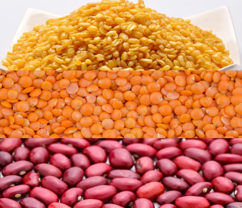 Pulses Legumes and Nuts 