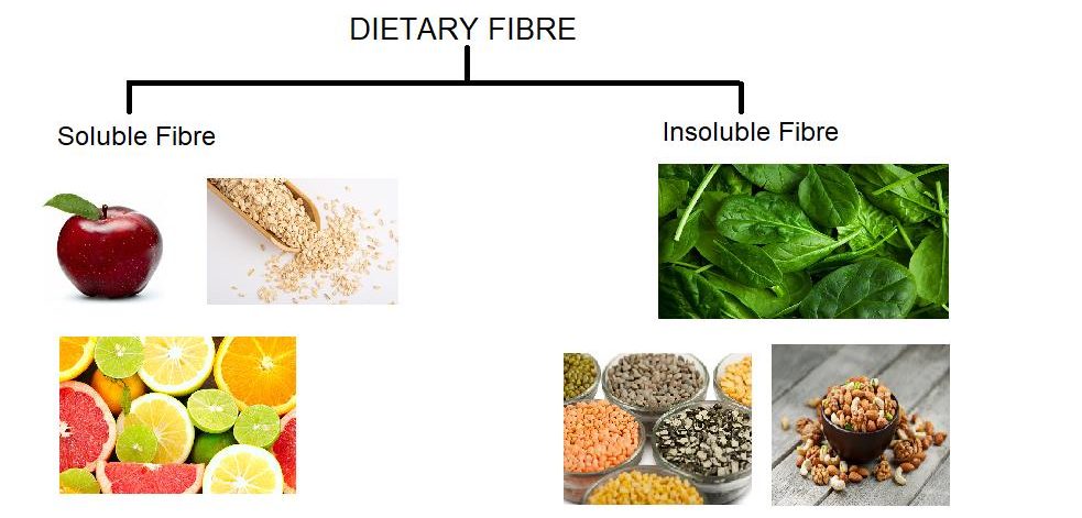 Dietary fiber types