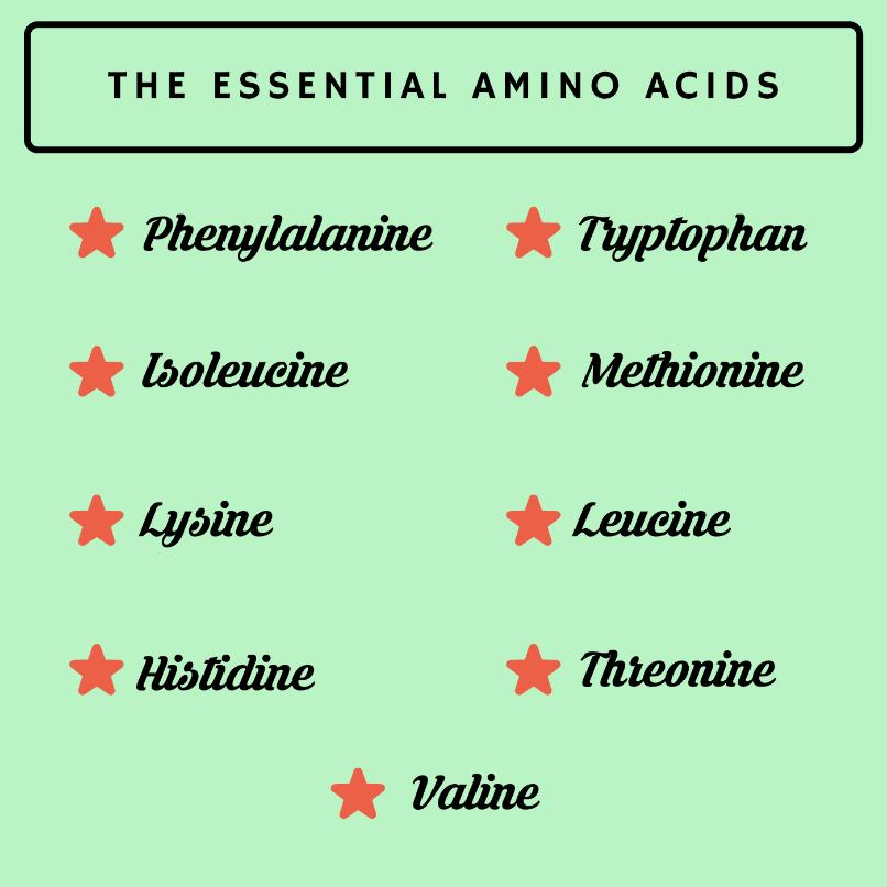 Essential (indispensable) Amino Acids