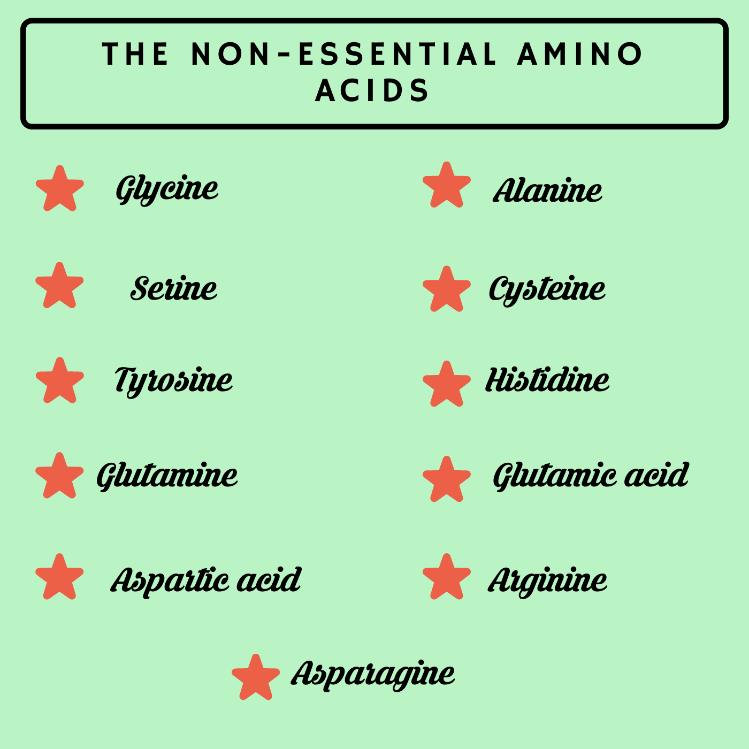 Non-Essential or Dispensible Amino Acids