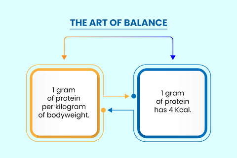 balancing calories and protein