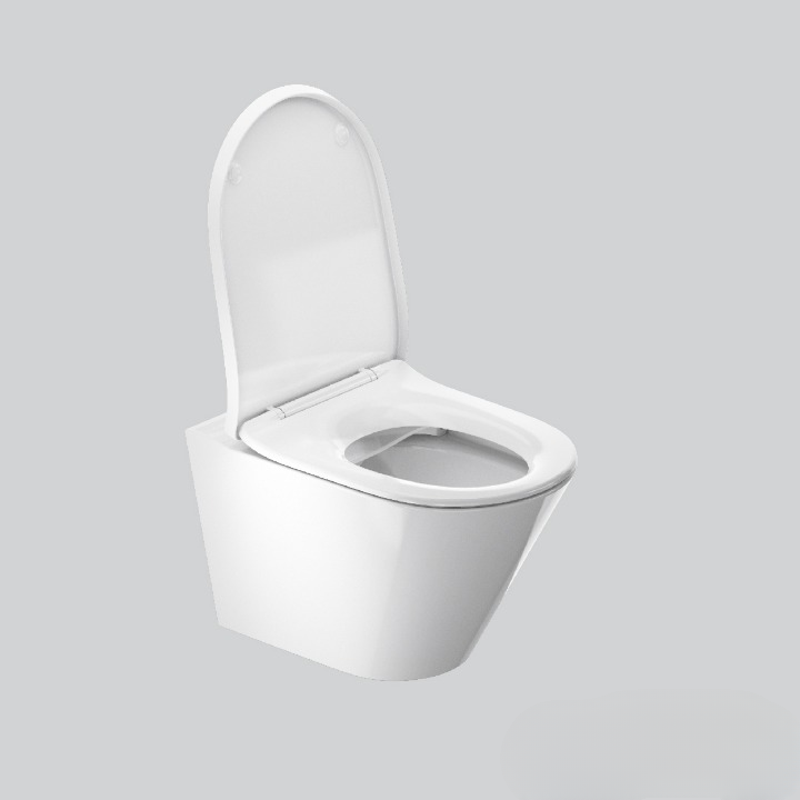 Brazn Rimless Wall Hung Toilet Without Toilet Seat Cover In White Kohler Online Store 7052