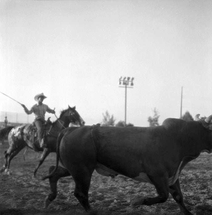 Black Cowboys in watts