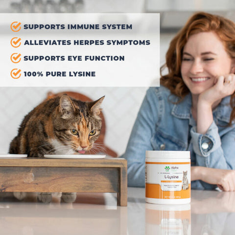 L-lysine for cats