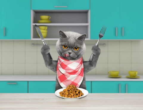 Cat holding a knife and fork