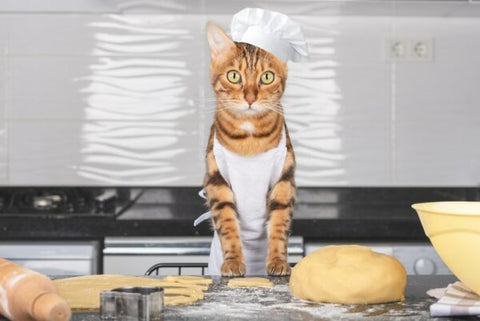 A cat making bread