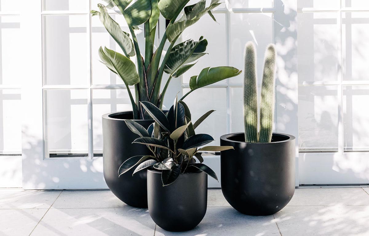 Styling Ideas for Charcoal Coloured Pots – The Balcony Garden