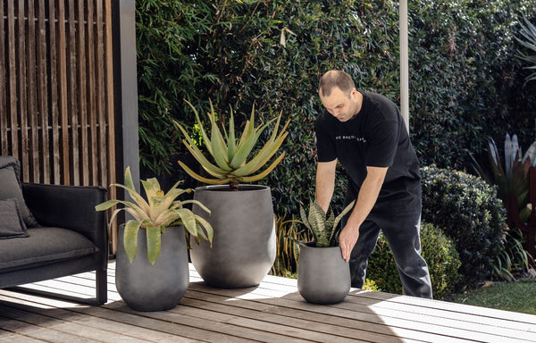 Placing indoor plants outside for fresh air and added sunlight.