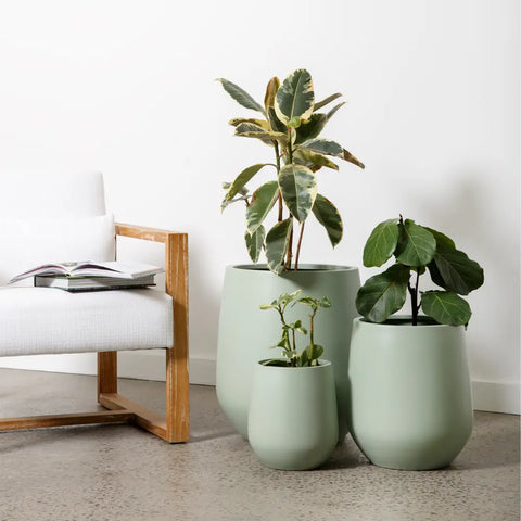 Lucy garden pot in sage green color ideal for Perth outdoor use