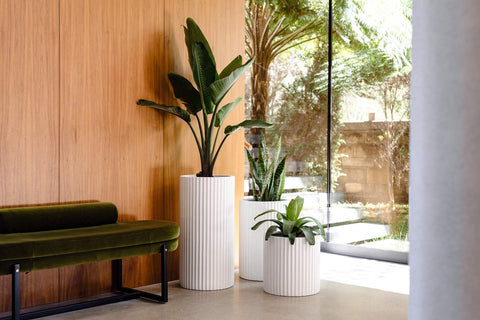 Contemporary decorative garden pots styled for both indoor rooms and outdoor settings in Sydney