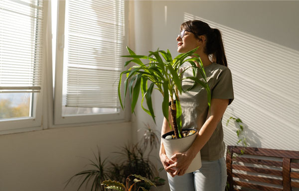 Woman hold a plant while bathing in dappled sunlight in her living room.