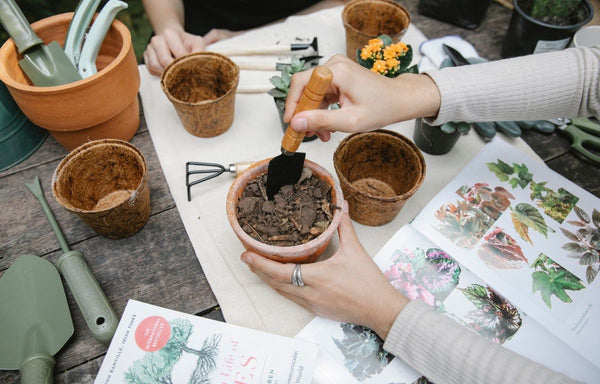 Checking soil consistency for potted plants.